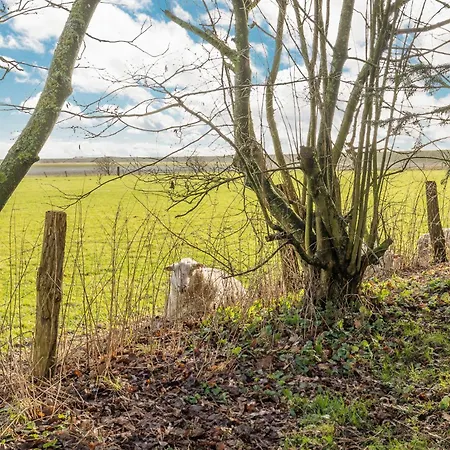 Haus Beltringharde Ferienhaus Reußenköge